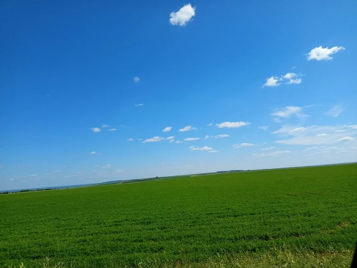 Vyatka Windows - My, Summer, Nature, Sky, The photo, Mobile photography