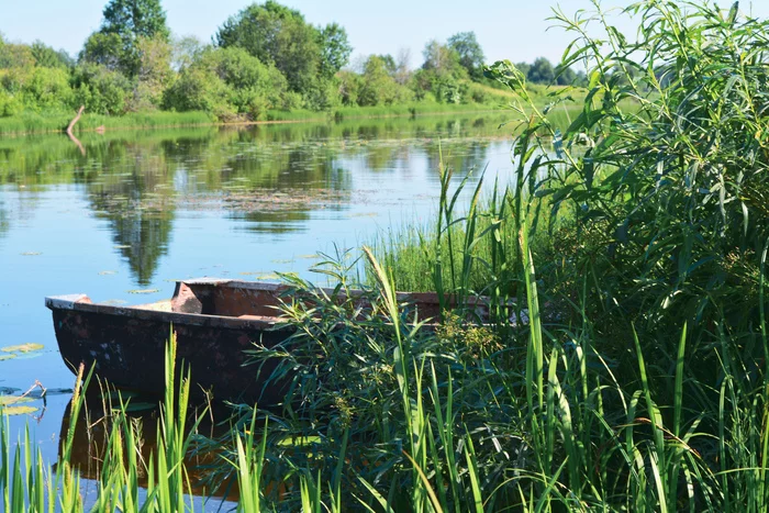 River Teza. Shuysky District, Popovskoye Village, Ivanovo Oblast - My, The photo, Nature, Russia, beauty of nature, River, Ivanovo region, beauty, The nature of Russia, Village, Fishing, A boat