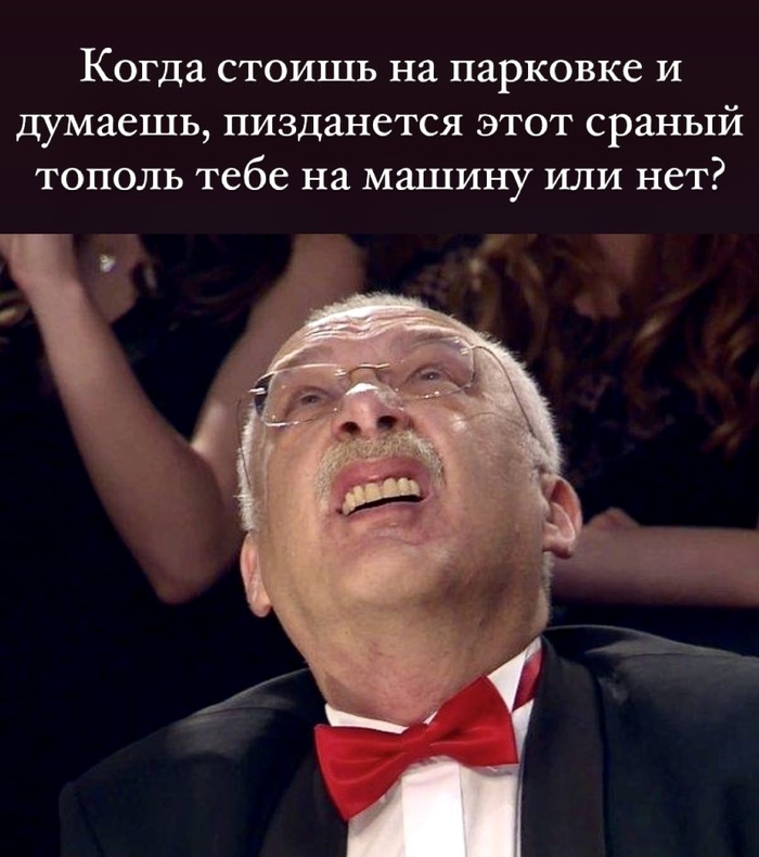 Штормовое