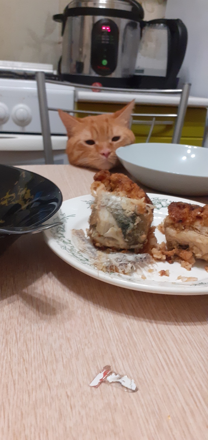 Смотрим рыбов