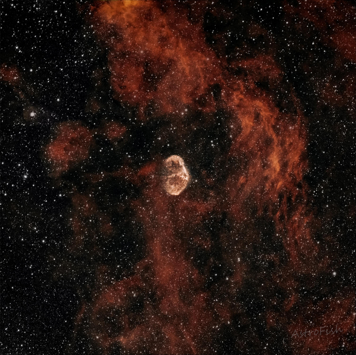 NGC 6888 -   , , 