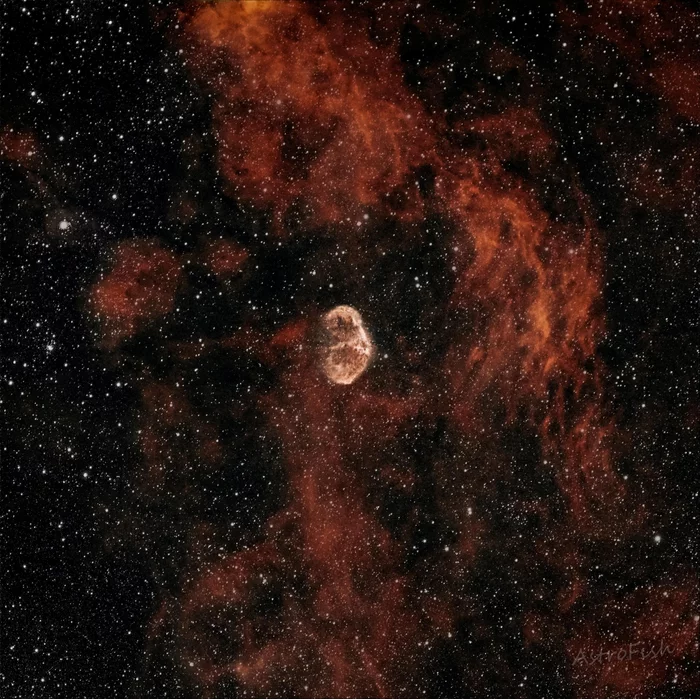 NGC 6888 - туманность Полумесяц - Космос, Туманность, Астрономия