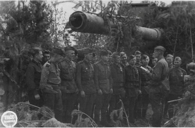 General cleaning at the marine battery in the forest of the Leningrad region - My, Leningrad region, The Great Patriotic War, Baltic Fleet, Monument, Longpost