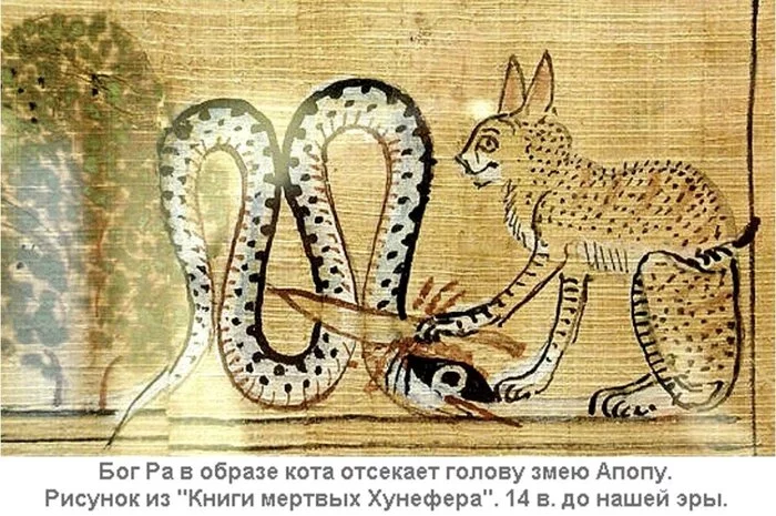Don't the Cat - cat, Serpent, Ancient Egypt, Ra-God of the Sun, Apop, Book of the Dead, Book of the Dead