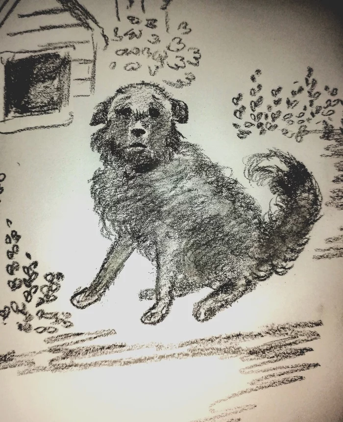 Once upon a time there was a dog, Smoke... - My, Drawing, Illustrations, Beginner artist, Coal, Dog