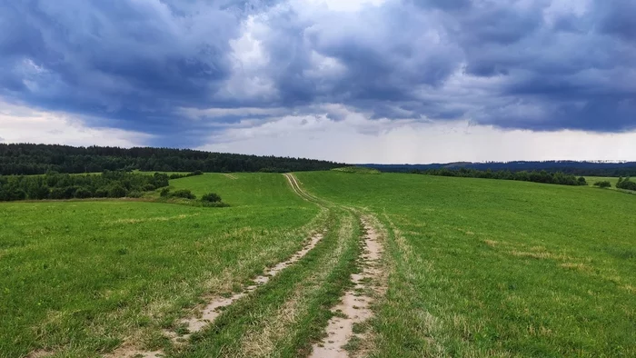 Nature of leningrad region - My, Nature, Sunset, Forest, Meadows, The clouds, Sky, Longpost