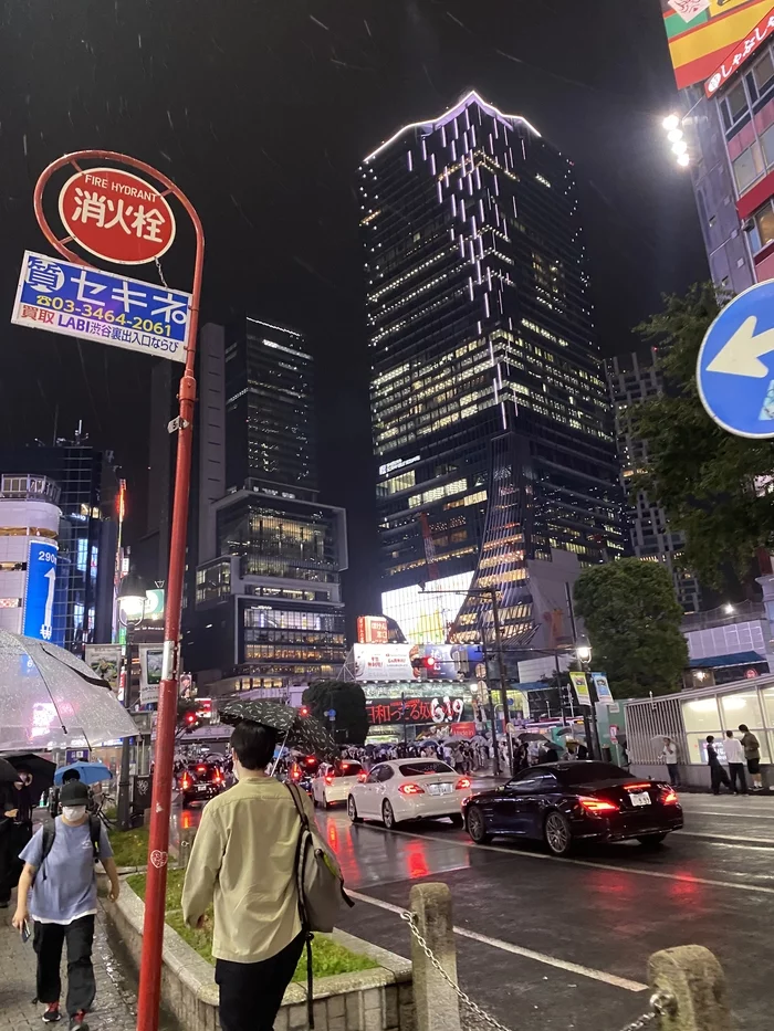 Shibuya Station, night and day - My, Japan, Tokyo, The photo, Longpost