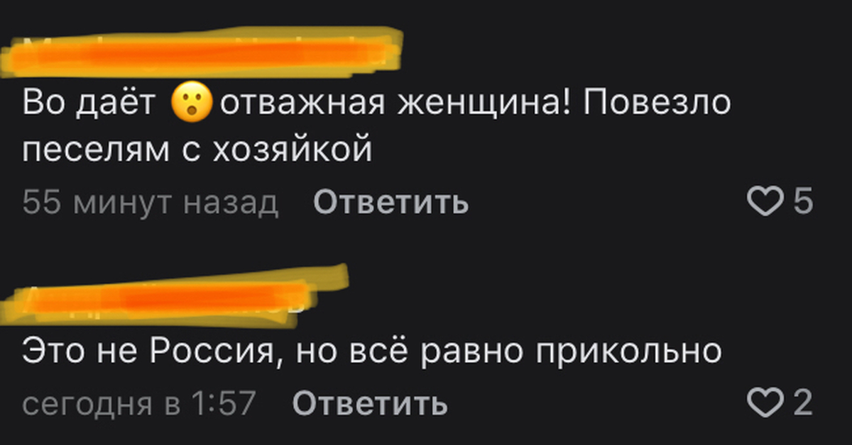 Ksp слабоумие и отвага на что влияют