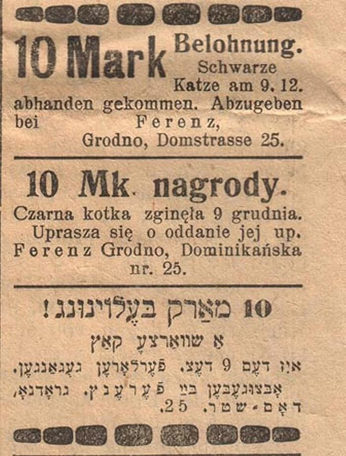 Advertisement for the disappearance of a cat in a newspaper, Grodno, Western Belarus, 1917 - Black and white photo, Old photo, Clippings from newspapers and magazines, cat, Yiddish, Polish language, Grodno