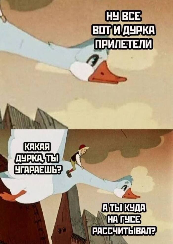  ))