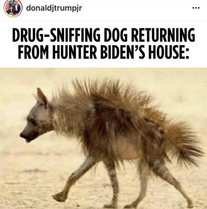 Trump Jr. and his observations of wildlife - Politics, Instagram, Joe Biden, Hunter Biden, Picture with text