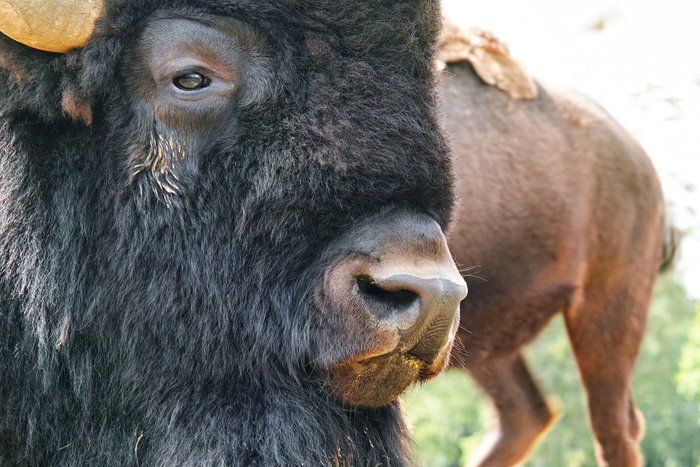 Выразительный взгляд