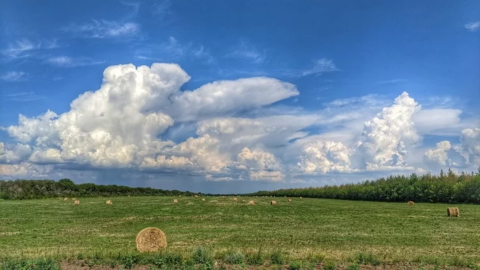 After haymaking - My, Field, Hay, Landscape, Mobile photography