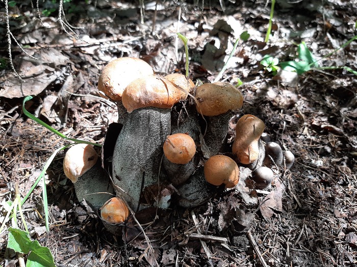 ����� ����� ����� � ������������ ����������...