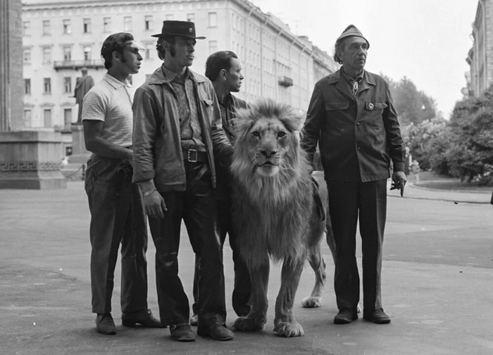 С каким производственным адом пришлось столкнуться Рязанову на съемках комедии «Невероятные приключения итальянцев в России» Актеры и актрисы, Знаменитости, Жизнь, Длиннопост, История кино, Фото со съемок