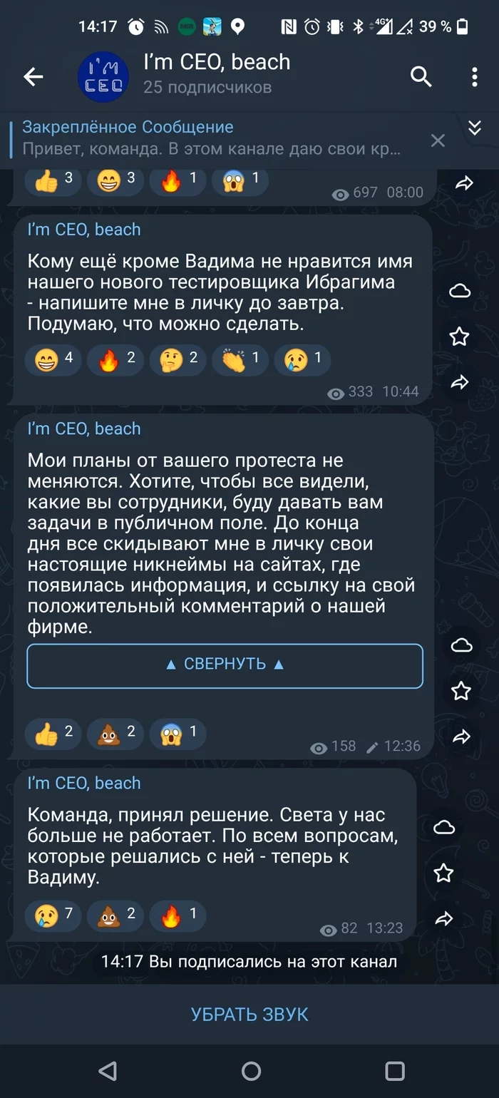 Ответ на пост «Чтобы вы понимали. Света - это я» - Грустный юмор, Работа, Поиск работы, Начальство, Скриншот, Рабочий чат, Ответ на пост, Длиннопост