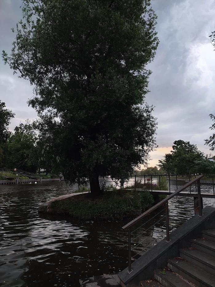 VDNKh before the downpour - My, Moscow, VDNKh, Rain, Nature, Pond, The photo, Mobile photography, Video, Longpost