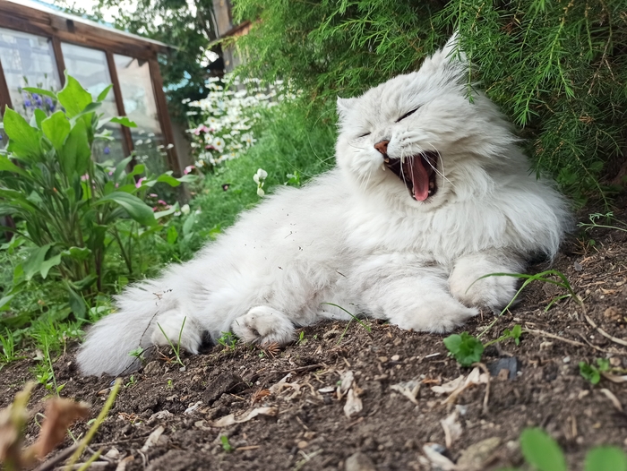 ��������� �� �������