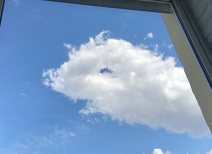 ����������)