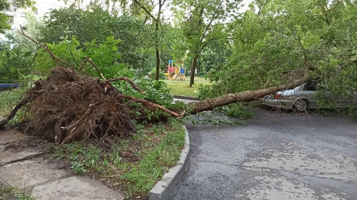 Sarov. Aftermath of the hurricane - My, Sarov, But, Closed city, Hurricane, Longpost