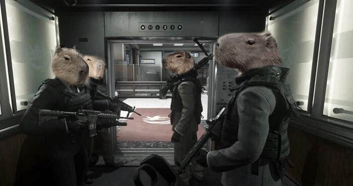 Remember - Not a word in capybara - Memes, Call of duty, Capybara, Mission, Call of Duty: Modern Warfare, Games