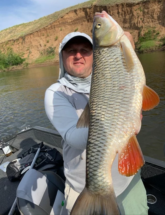 Behind the trophy Ash - My, Fishing, Nature, Author's story, Chub, Video, Longpost