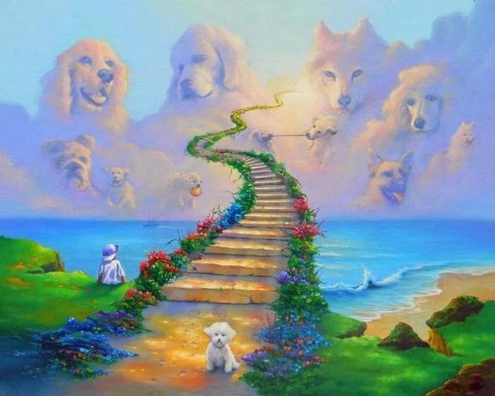 Road to dog heaven - Dog, Paradise, Drawing, The road to heaven, Pets