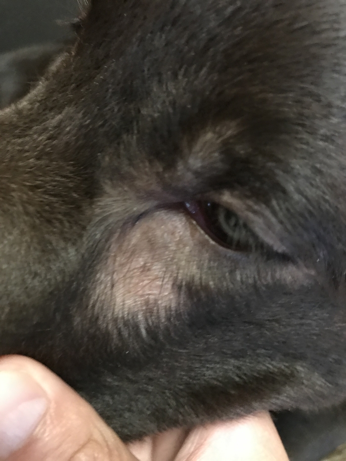 Прошу совета