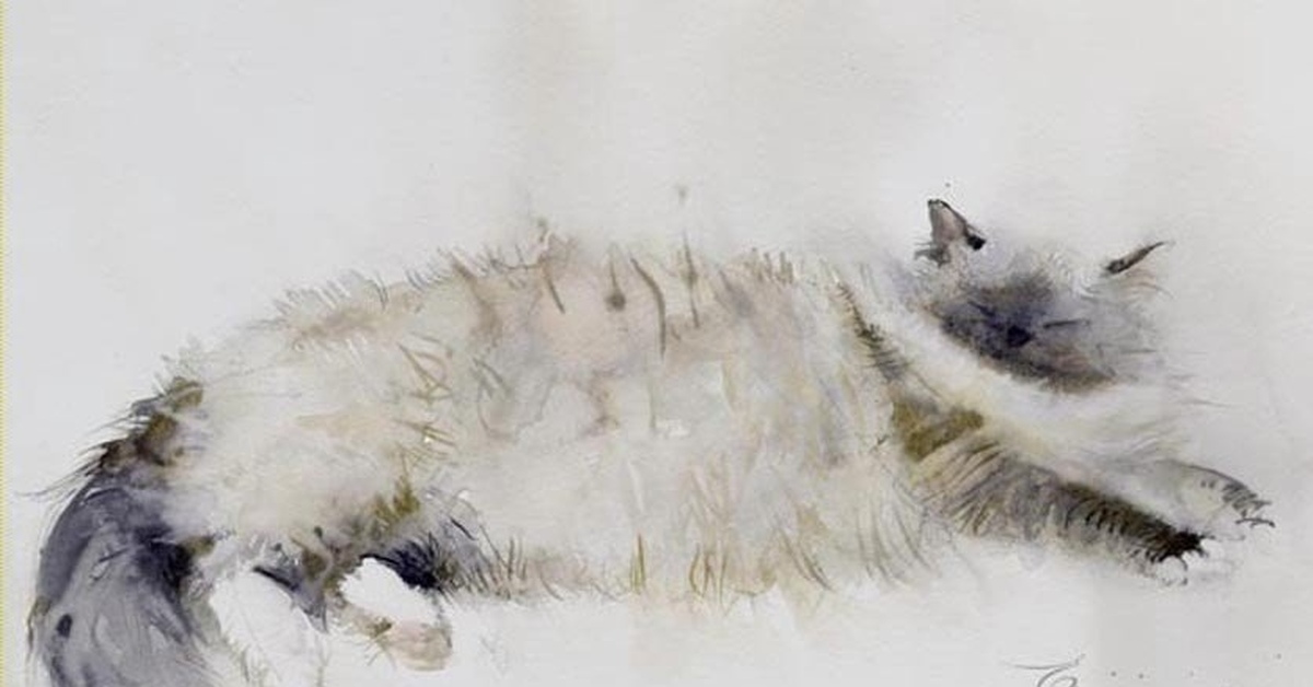 Кошка акварелью. Щенок акварель. Зарисовки животных акварелью. Животные акварелью. Акварель животных.