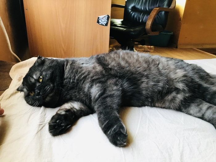 Наелся и лежит