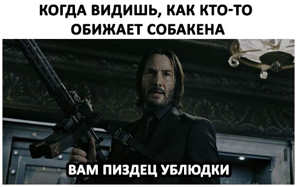 When you see someone hurting a dog - My, Images, The photo, Screenshot, Memes, Picture with text, Mat, Movies, John Wick, Dog