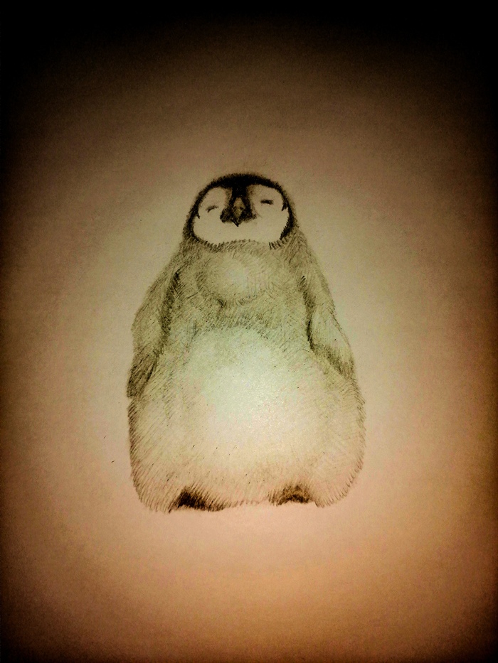 ���� ������� ��������