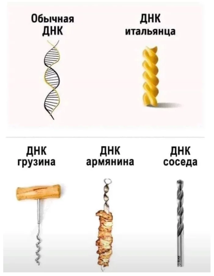 Interesting) - DNA, Picture with text, Humor