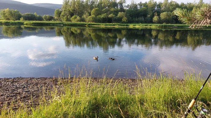 Fishing - My, Nature, Krasnoyarsk, Russia, The nature of Russia, Mobile photography, Siberia, Yenisei, Homeland, Fishing, A boat, Relaxation