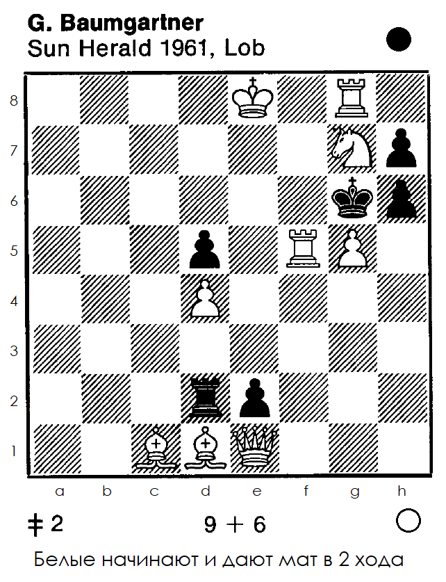 Two-move #31 - Chess, Chess problems, Task, Головоломка