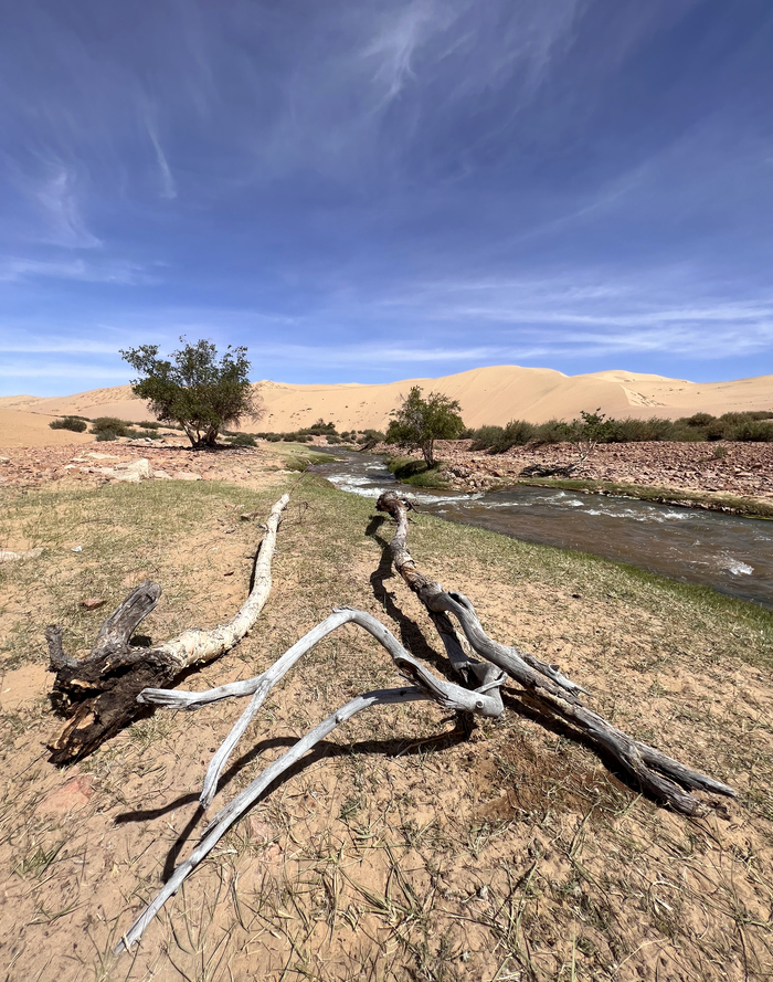Путешествие по Монголии Путешествия, Монголия, Природа, Туризм, Гоби, Пустыня, Озеро, Длиннопост
