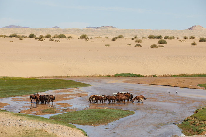 Путешествие по Монголии Путешествия, Монголия, Природа, Туризм, Гоби, Пустыня, Озеро, Длиннопост
