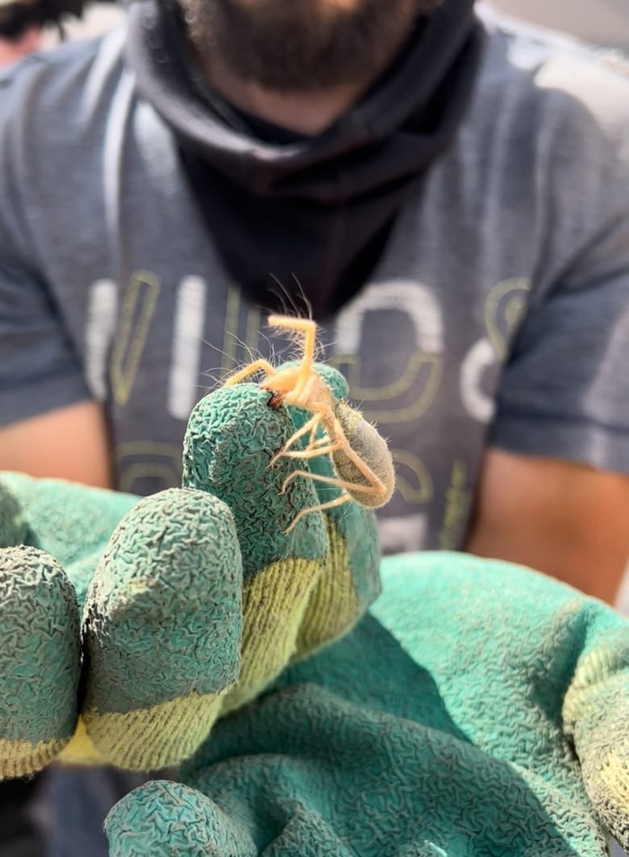 Путешествие по Монголии Путешествия, Монголия, Природа, Туризм, Гоби, Пустыня, Озеро, Длиннопост