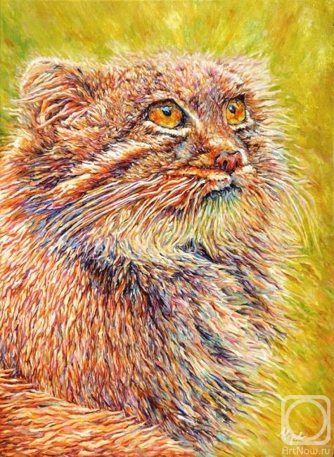 10 manuls of Black Lily - Pallas' cat, Pet the cat, Small cats, Cat family, Painting, Painting, Artist, Animalistics, Longpost