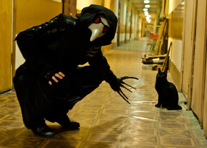 When I first saw the plague doctor - My, Plague Doctor, Mask, Plague, Cosplay, The photo, Professional shooting, Models, Costume, Body, Plague Doctor Mask, Cosplayers, Gothic, Pestilence, Beautiful, Middle Ages, Suffering middle ages, Memes, Humor, cat, Funny animals, Longpost