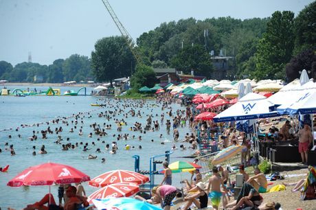 Belgrade Sea. - Lake, Serbia, Belgrade, Hell, Fishermen, Catfish, Beach, Bathing, Tan, Relaxation, Pike, Jellyfish, Turtle, Health, Bath, A boat, Fishing, Diving, Underwater photography, Scuba diving, Video, Youtube, Longpost