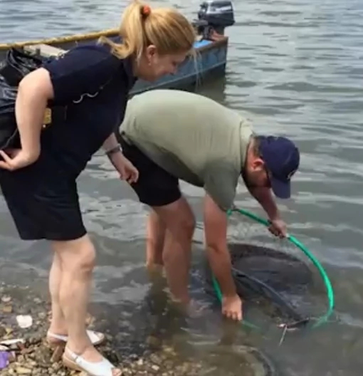 Belgrade Sea. - Lake, Serbia, Belgrade, Hell, Fishermen, Catfish, Beach, Bathing, Tan, Relaxation, Pike, Jellyfish, Turtle, Health, Bath, A boat, Fishing, Diving, Underwater photography, Scuba diving, Video, Youtube, Longpost