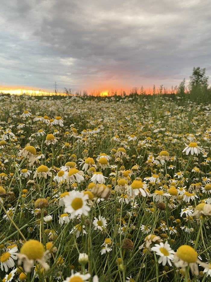 Вечер на Оке