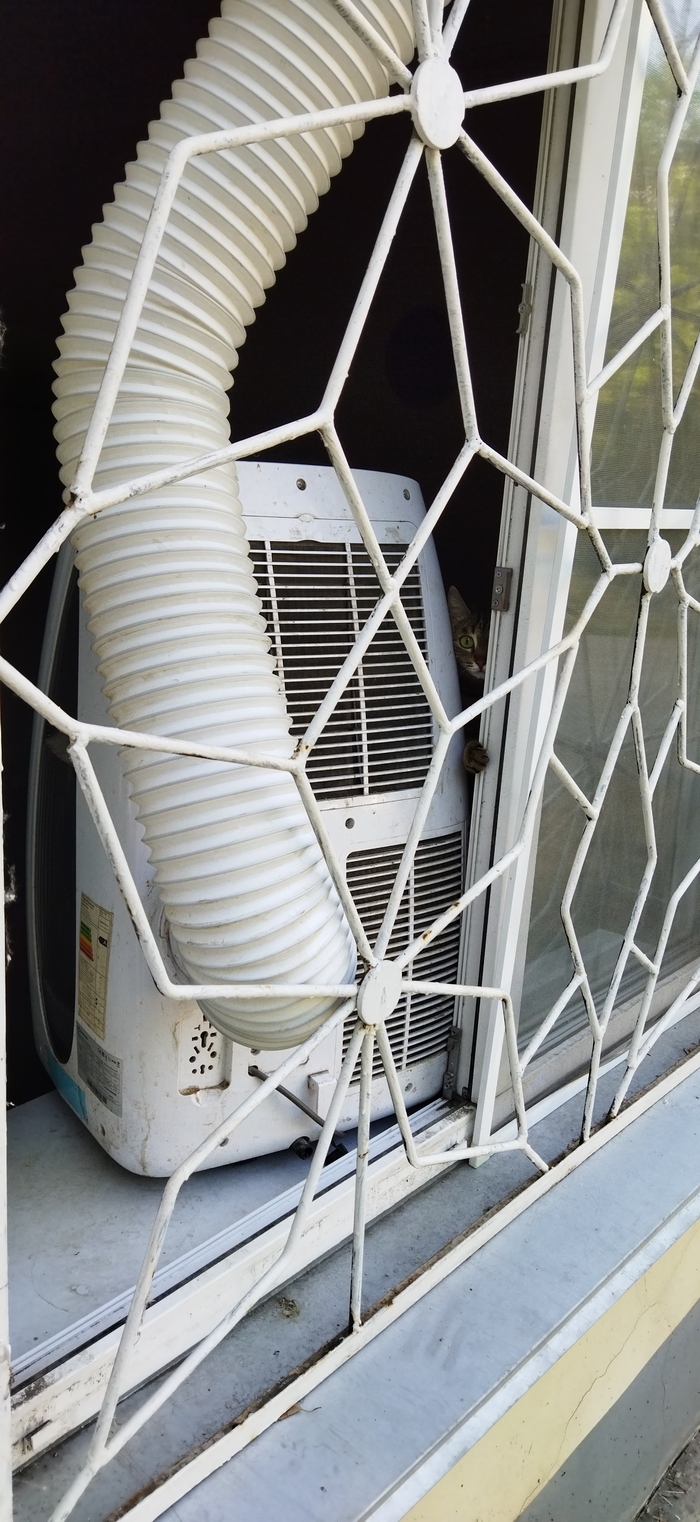 Подглядывает