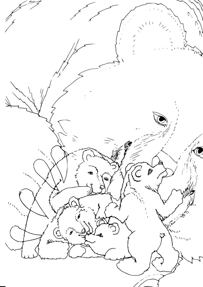 Семья медведей Рисунок, Рисунок карандашом, Раскраска, Медведи
