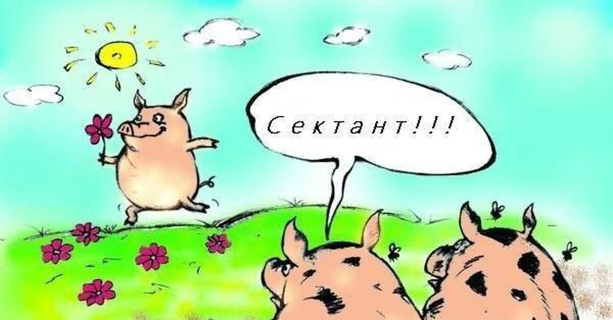 Картинка свиньи сектант