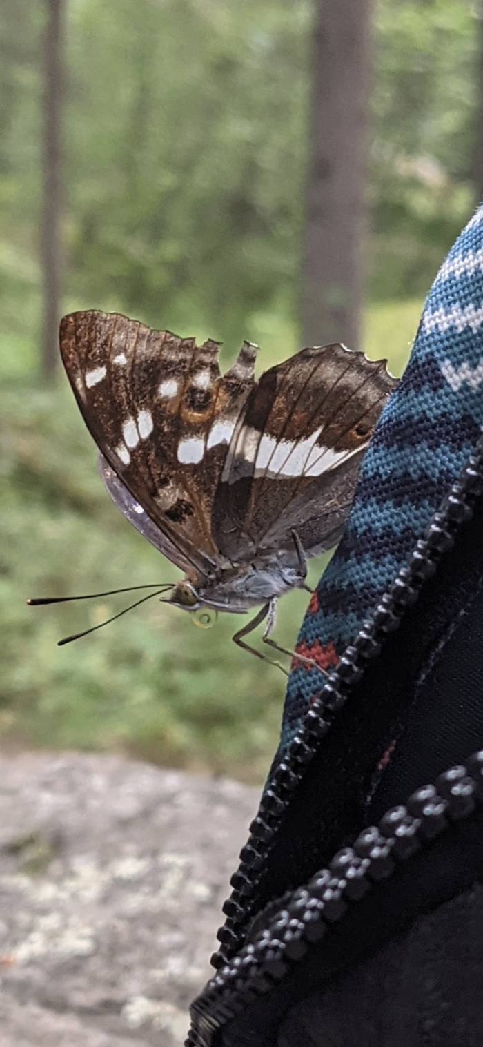 ������ �������)))