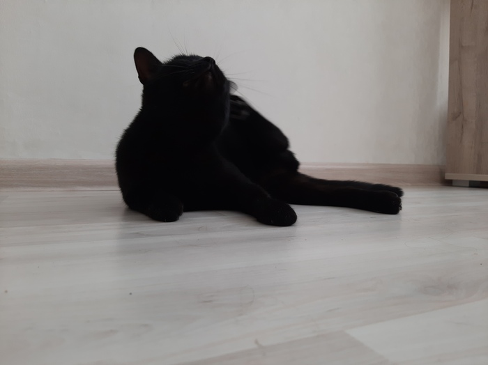 ��� � ����