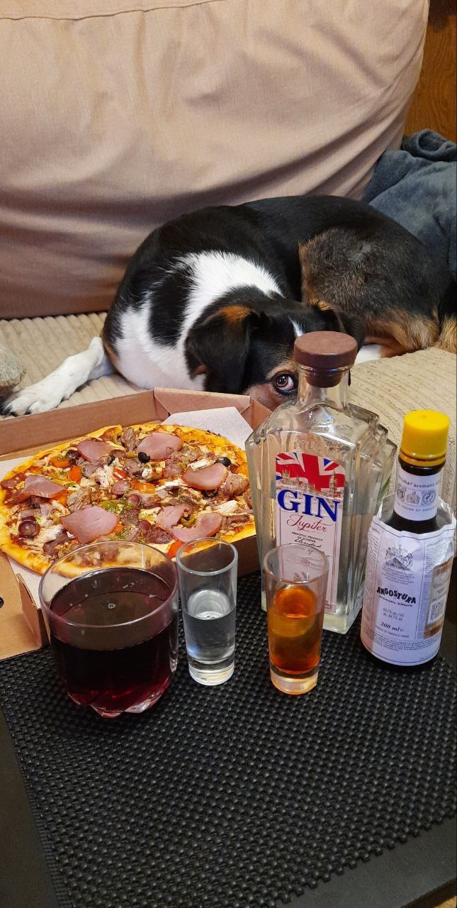 Weekend morning. - My, Alcohol, Pizza, Dog, Longpost