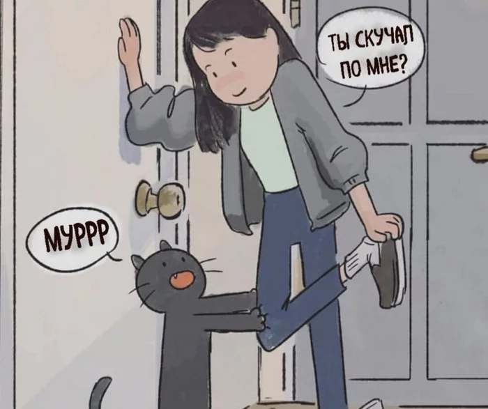 Selling bastard - Comics, cat, Longpost